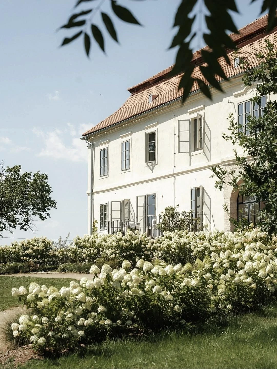 The white façade of Kocanda Kravsko framed by hydrangeas and leafy branches